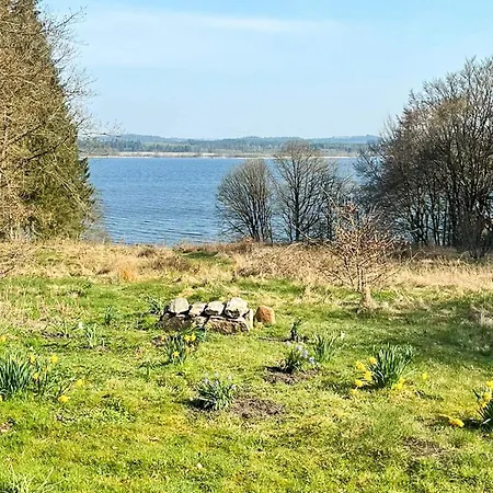 Lakeside With Forest Skanderborg
